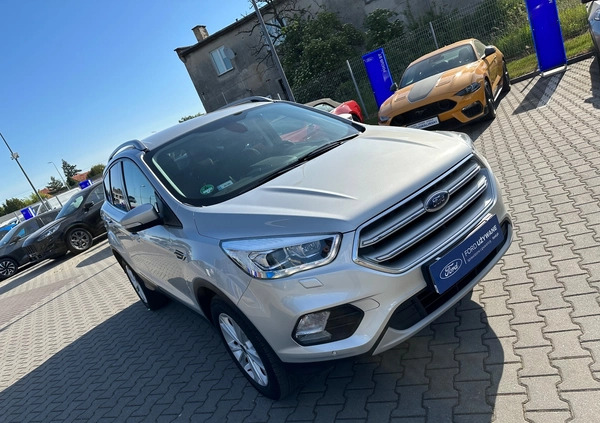 Ford Kuga cena 82900 przebieg: 99800, rok produkcji 2019 z Opole małe 121